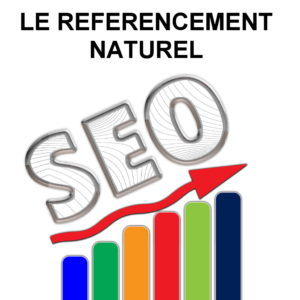 seo 300x300 1