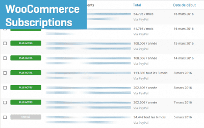 On a testé : WooCommerce Suscriptions