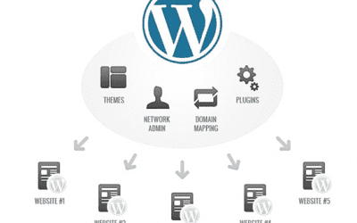 On a testé : WooCommerce en mode WP Multisites