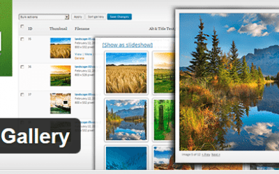 Le top 25 des plug-ins WordPress Gratuits et pourquoi ils sont si populaires !