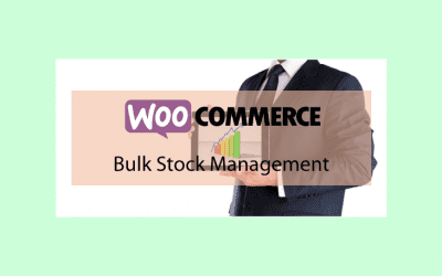 Woocommerce Bulk Stock Management – Gestion des stocks en masse