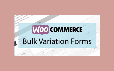 Woocommerce Bulk Variation Forms – Formulaires sur les variations des stocks de produits