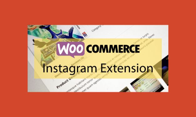 Woocommerce Instagram Extension