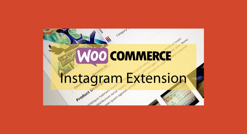 Woocommerce Instagram Extension