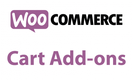 On a testé : Cart Add-ons pour Woocommerce