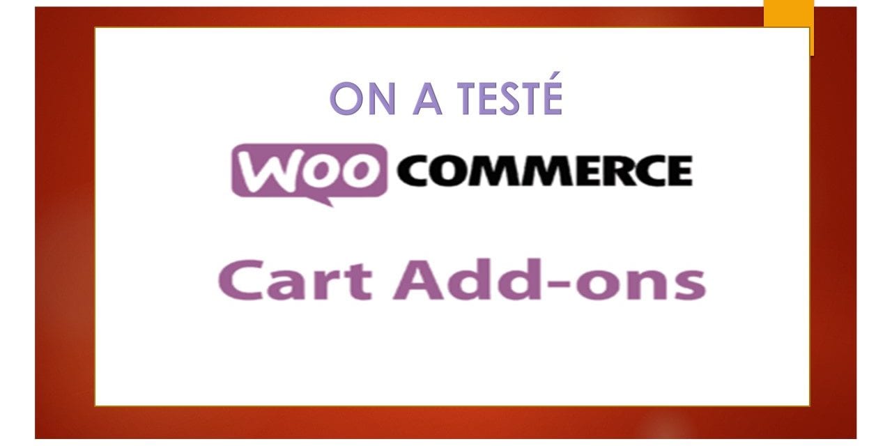 On a testé : Cart Add-ons pour Woocommerce