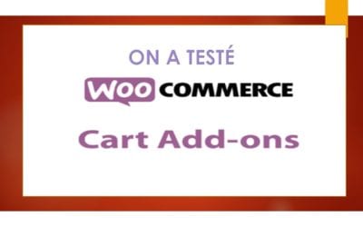 On a testé : Cart Add-ons pour Woocommerce