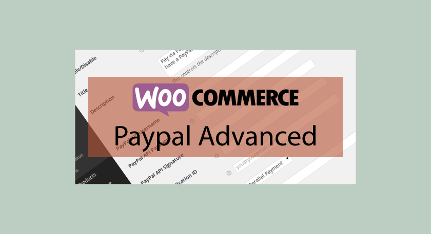 WOOCOMMERCE Paypal Advanced – Passerelle de paiement Paypal avancée