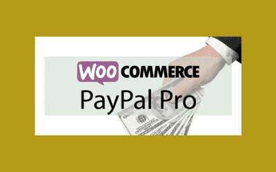 WOOCOMMERCE PayPal Pro – Passerelle de paiement Paypal Pro