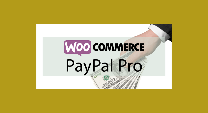WOOCOMMERCE PayPal Pro – Passerelle de paiement Paypal Pro