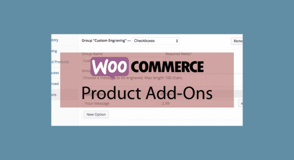 WOOCOMMERCE Product Add-ons – Options sur vos produits