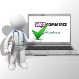 Docteur WordPress - WooCommerce - intervention sur site