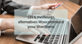 Les 6 meilleures alternatives Woocommerce pour Wordpress