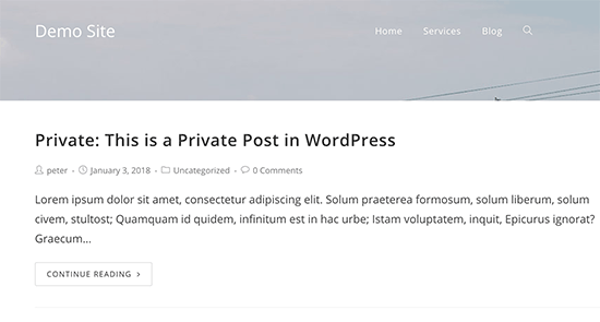 Comment créer une publication privée dans WordPress