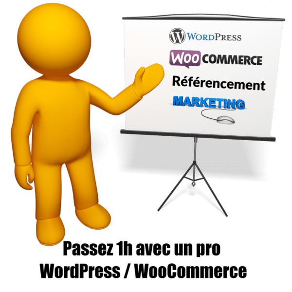 Formation Conseils WordPress & WooCommerce 1h