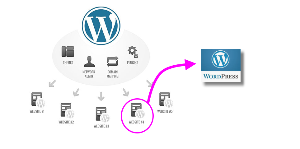 Comment extraire un site  WordPress d’une installation multisite ?