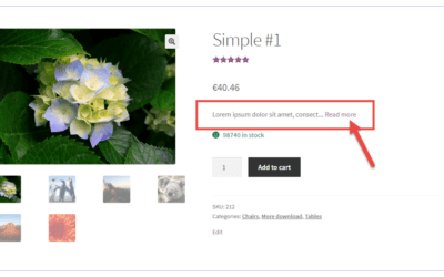WooCommerce: limiter la description courte avec le bouton «Lire la suite»