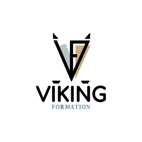 Viking Formation