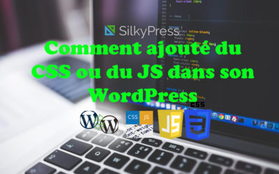 Comment ajouter du CSS ou du JS dans son WordPress