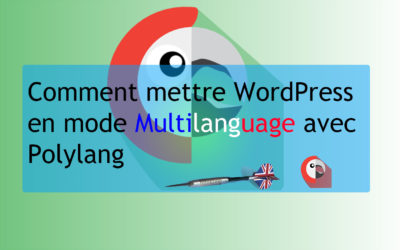 Comment mettre son WordPress en mode Multilanguage avec Polylang