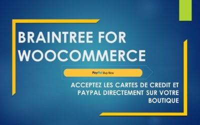 BRAINTREE FOR WOOCOMMERCE – ACCEPTEZ LES CARTES DE CREDIT ET PAYPAL DIRECTEMENT SUR VOTRE BOUTIQUE