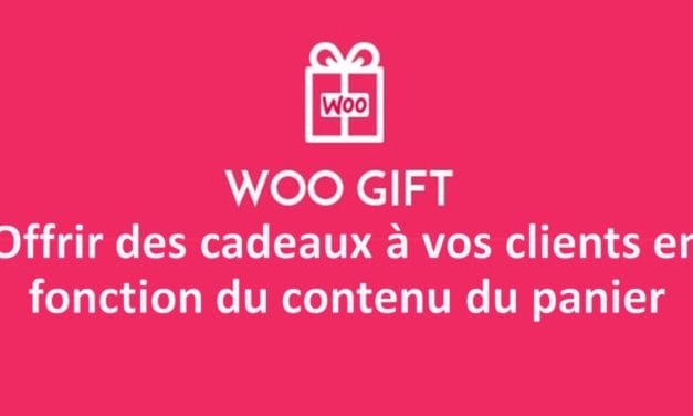 Woo Gift – Advanced WooCommerce Gift – Offrir des cadeaux à vos clients en fonction du contenu du panier