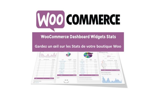WooCommerce Dashboard Widgets Stats – Gardez un œil sur les Stats de votre boutique Woo