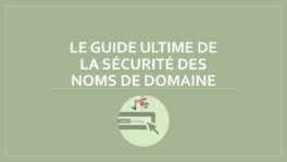 Le guide ultime de la sécurité des noms de domaine