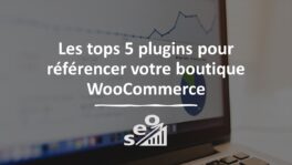 Les tops 5 plugins SEO pour référencer votre boutique WooCommerce