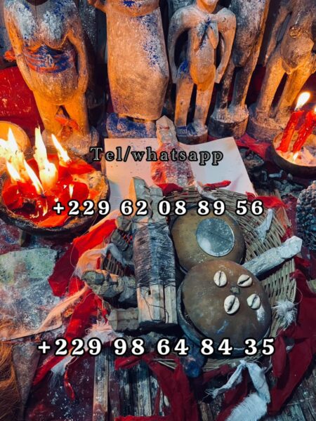 RETOUR D’AMOUR DE L’ÊTRE AIME +2290198648435