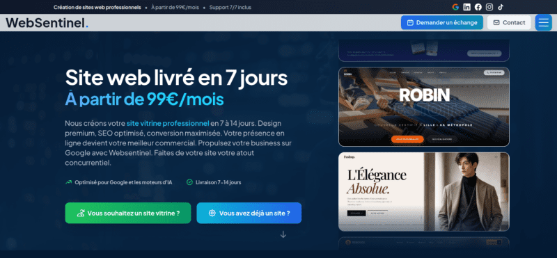 WebSentinel : L&rsquo;agence web à Lille qui révolutionne WordPress
