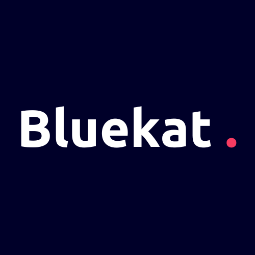 Bluekat Digital, votre agence web de confiance