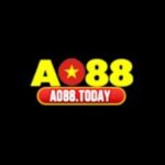 Illustration du profil de AO88
